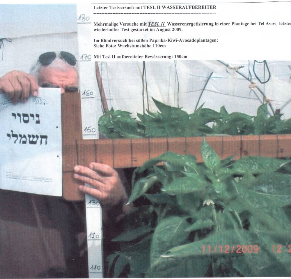 Versuch mit TESL II aufbereiteter Bewässerung, Pflanzenhöhe 150 cm, Tel Aviv 2009